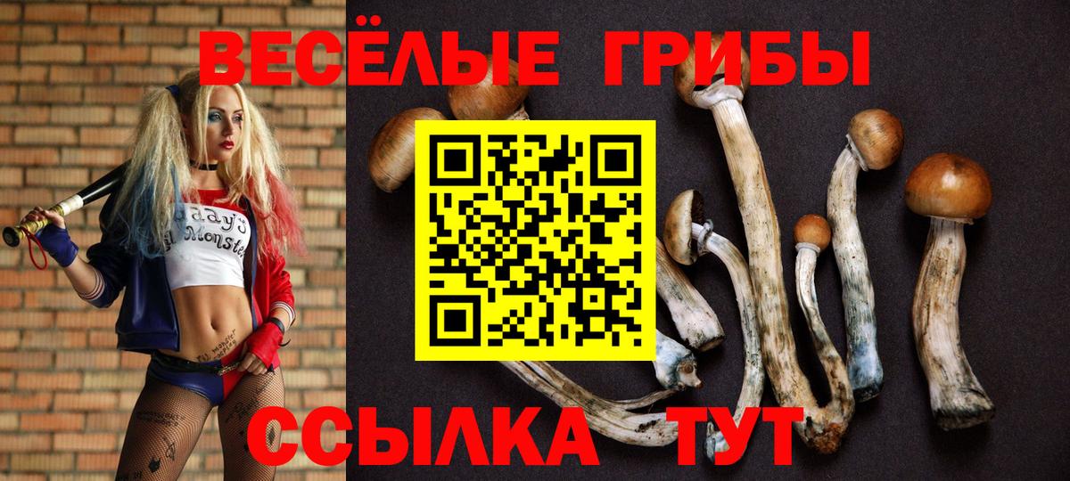 Новодвинск  Псилоцибиновые грибы GOLDEN TEACHER  Вход с VPN  Псилоцибиновые грибы Psilocybine cubensis 